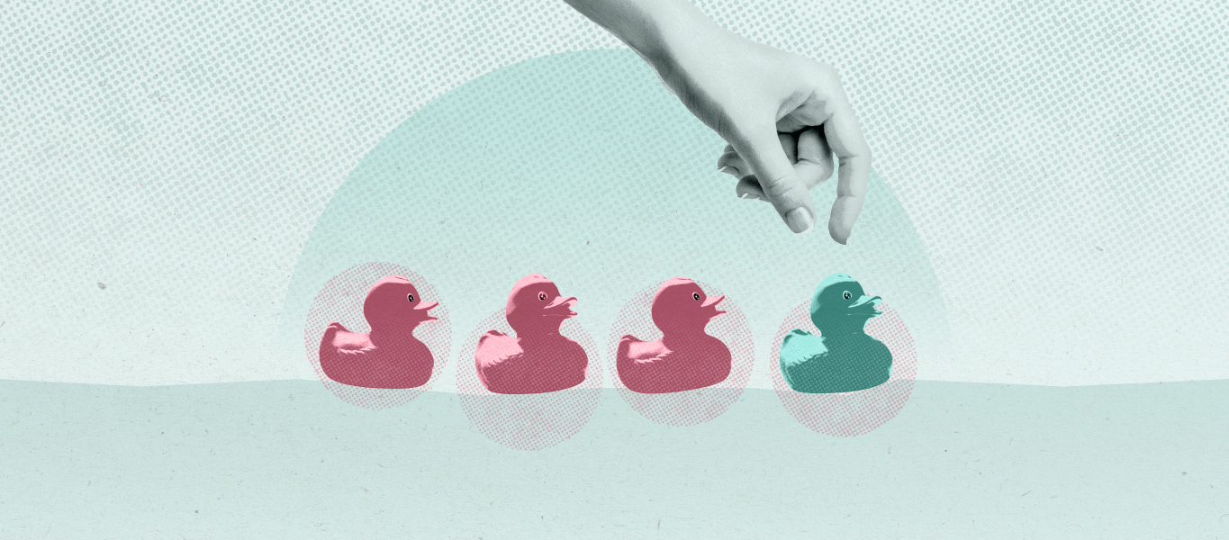 An image of ducks in a row