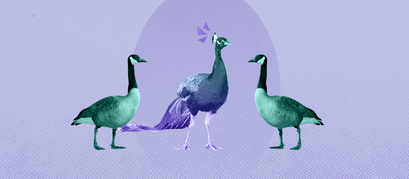 Stand out from subscription competition with these marketing strategies.